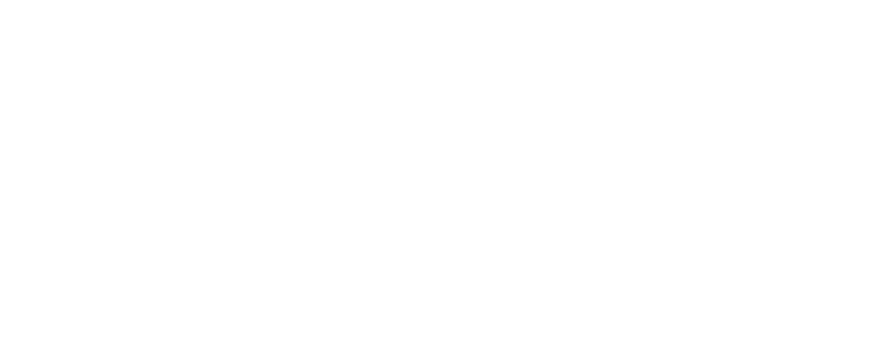 The Promise of Leadership Institute